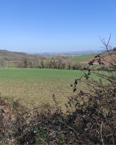 Sortir des sentiers trac&eacute;s