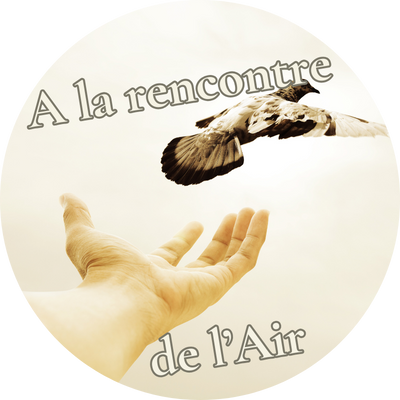 Atelier 3 : Voyage à la rencontre de l’élément Air